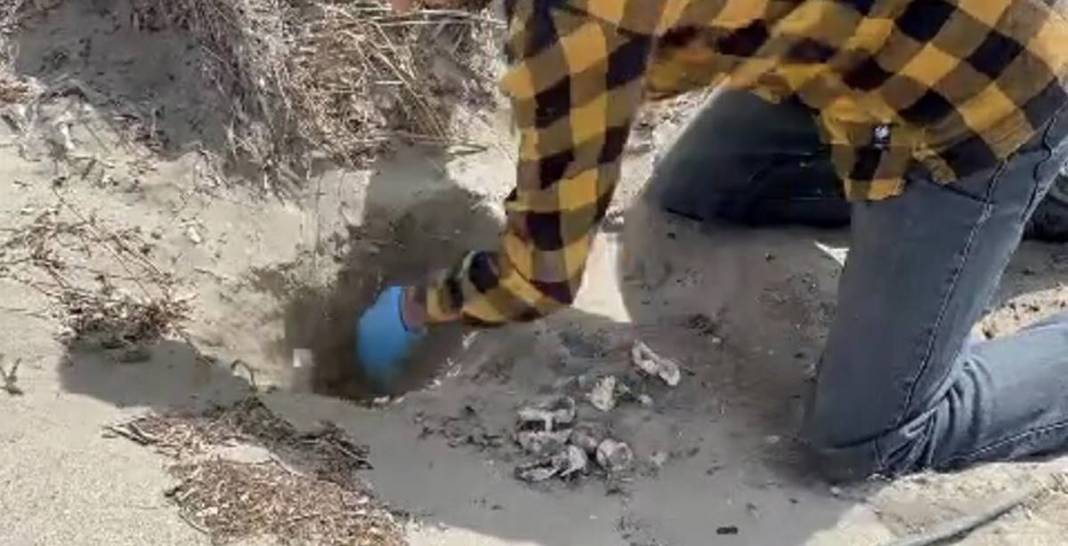 İhbar üzerine deniz kıyısına gittiler: Karşılaştıkları manzara şoke etti! Uzmanlar, o ilçede 9 gün boyunca araştırma yaptı 8